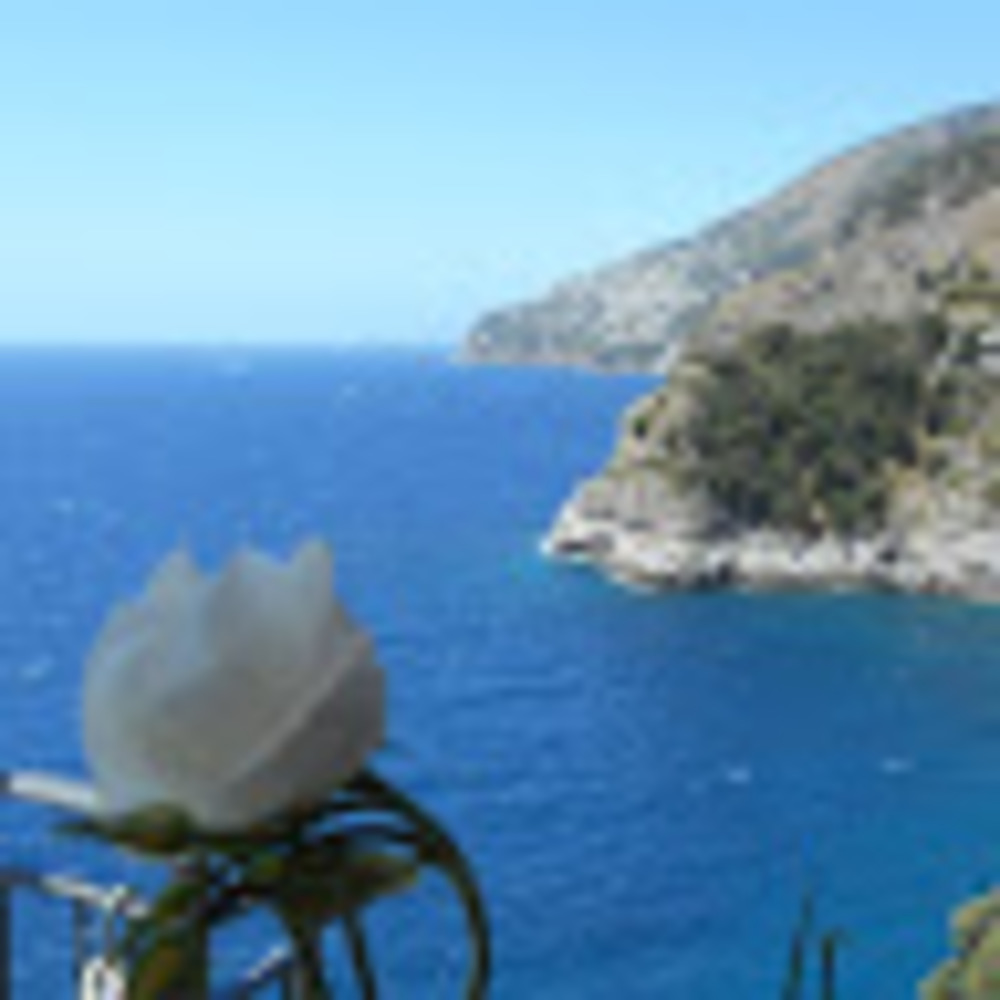 Meet your Posher, Daniela